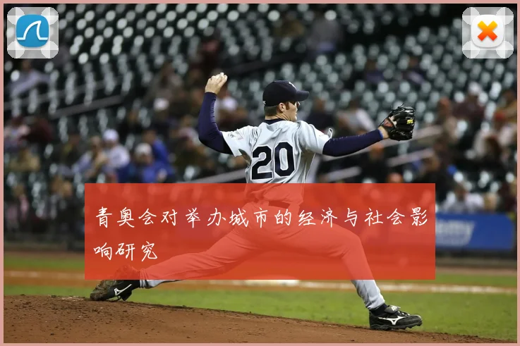 青奥会对举办城市的经济与社会影响研究